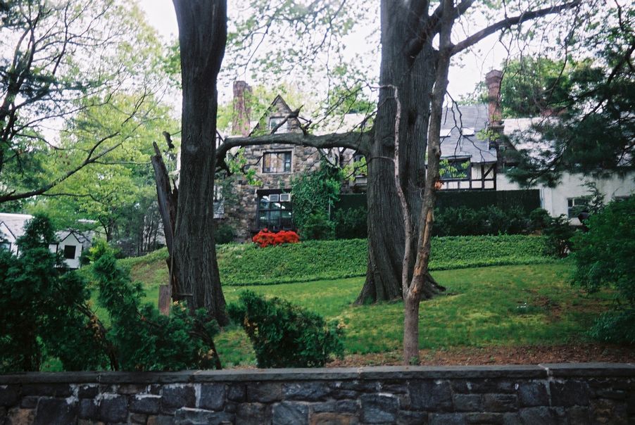 2003_Wave Hill003.jpg